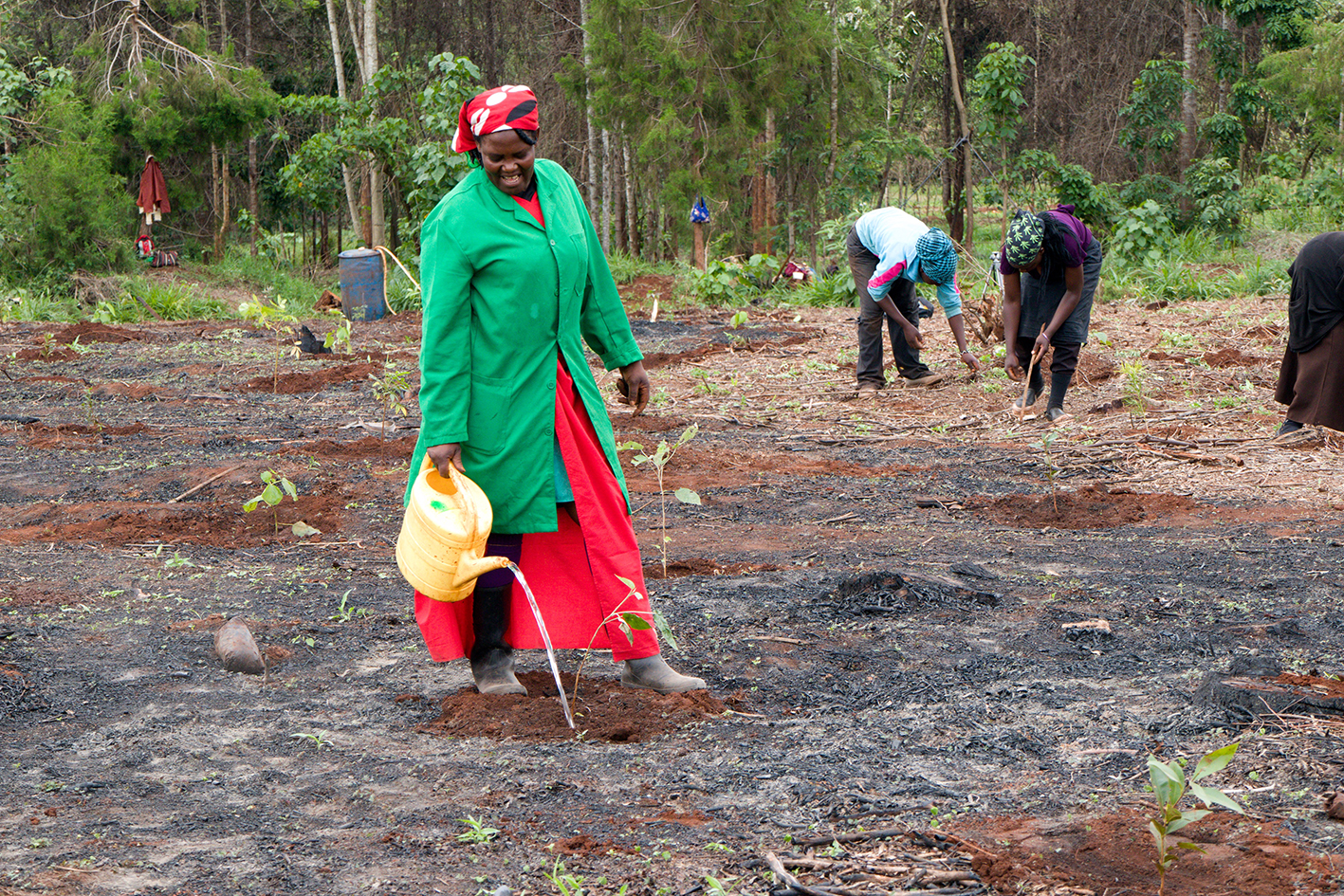 Re-Planting with indigenous species