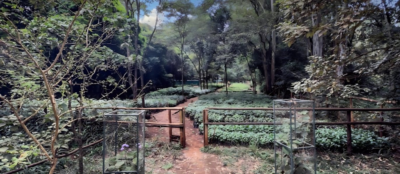 FRIENDS OF KARURA FOREST (FKF) REFUTES FRAUD ALLEGATIONS