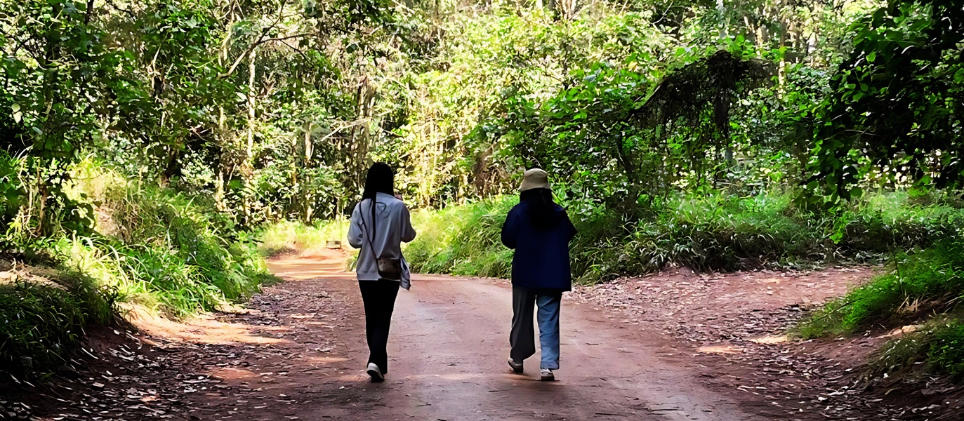 Friends of Karura Forest ‘increasingly concerned’ over Forest’s future