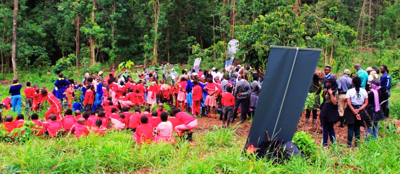 Friends of Karura Forest Petition to Save the People’s Forest