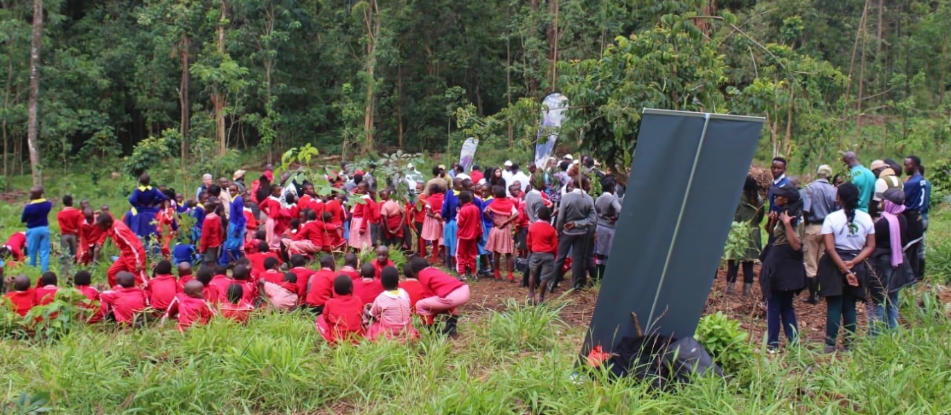 Petition to Save the People’s Forest