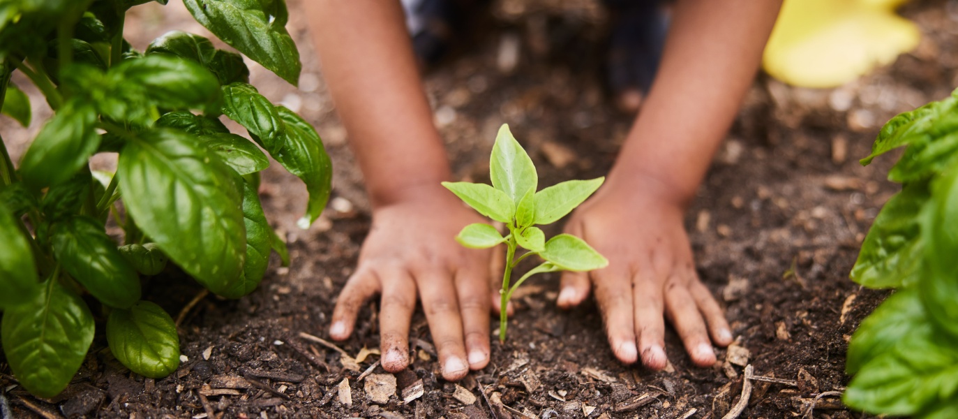 Friends of Karura Forest Dig In to Start Indigenous Tree Planting During Short Rains