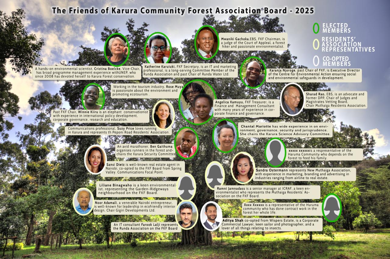 A tree with FKF Board members