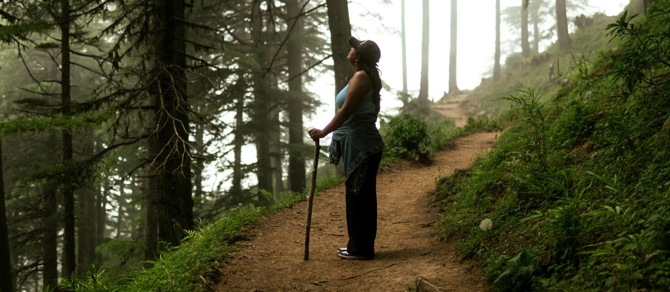 Update from Karura Forest