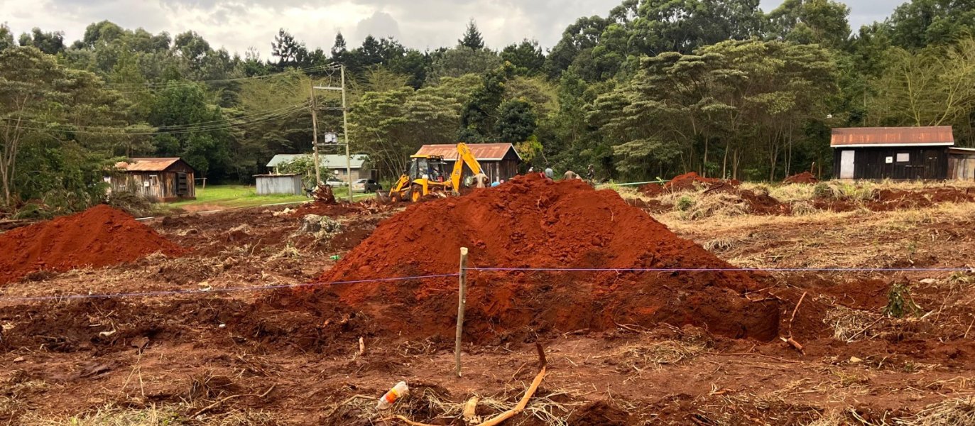 Friends of Karura demand immediate end to tree clearance
