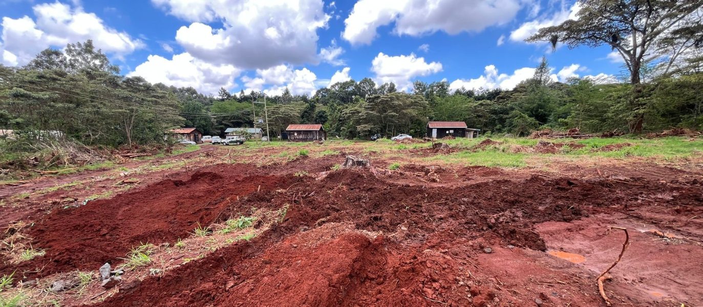 Friends of Karura welcome the Court order to halt construction inside Karura Forest