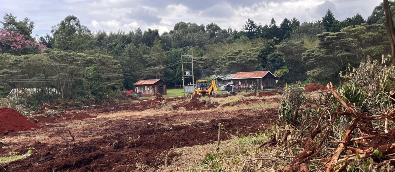 Friends of Karura Call for Immediate Halt to Tree Clearance in Karura Forest